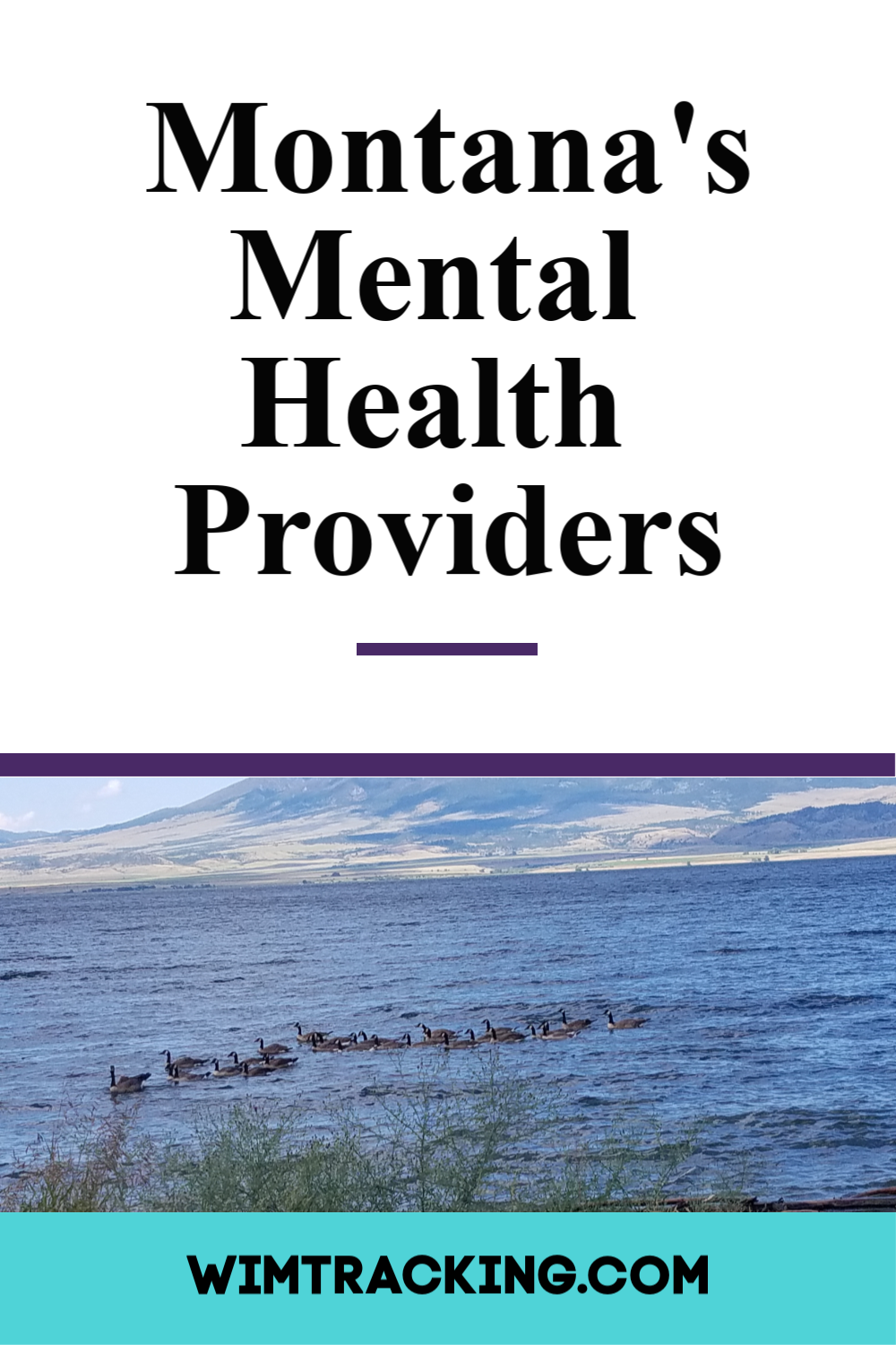 Montana Mental Health